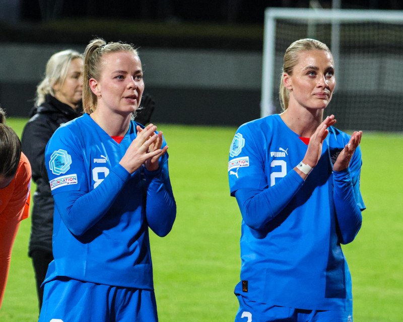 Myndaveisla 2 frá sigri Íslands á Wales í gær