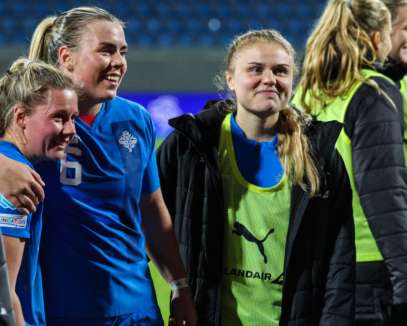 Myndaveisla 2 frá sigri Íslands á Wales í gær