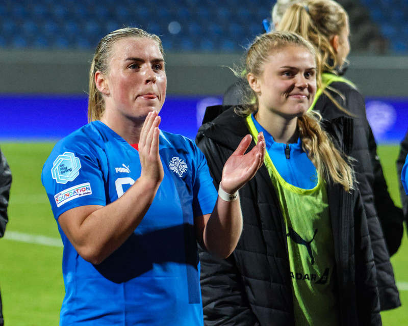 Myndaveisla 2 frá sigri Íslands á Wales í gær