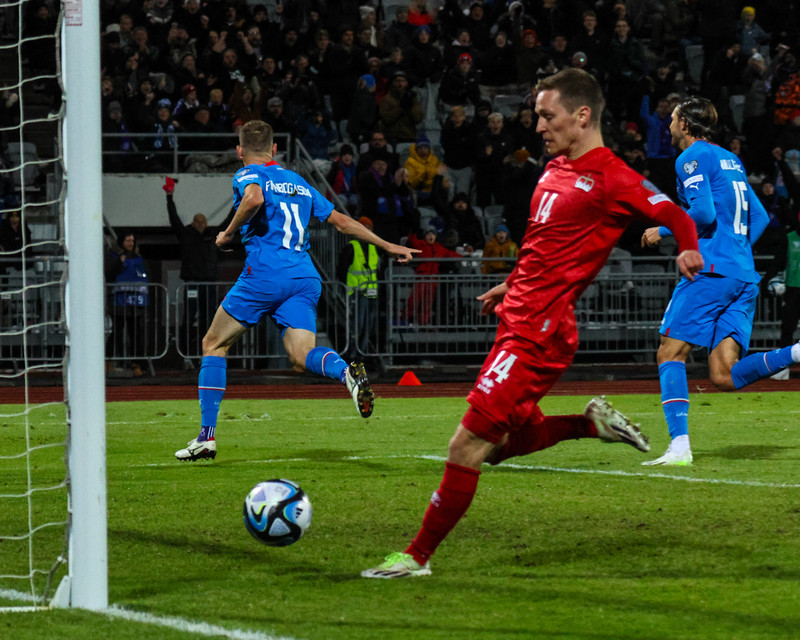 Alfreð Finnbogason fagnar marki sínu