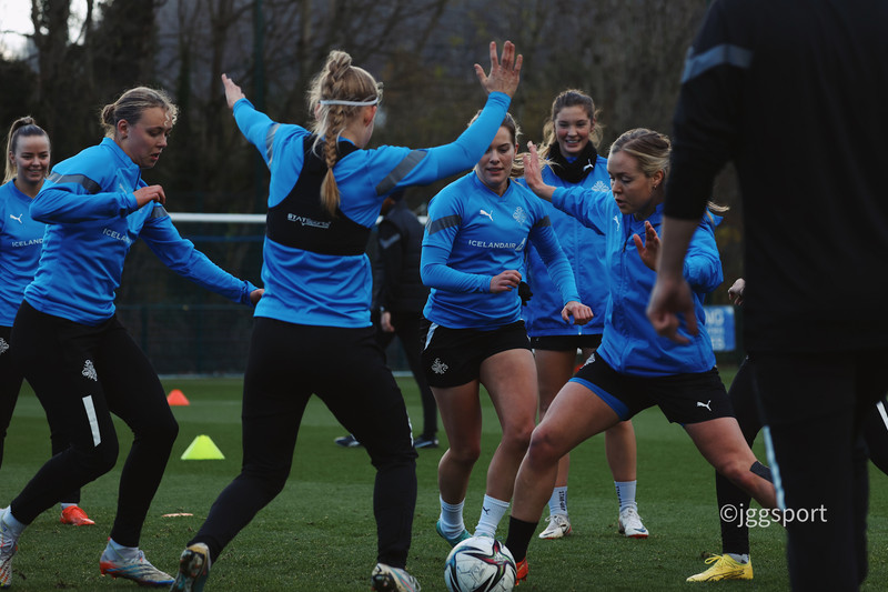 Ísland mætt í jólastemmningu til Cardiff