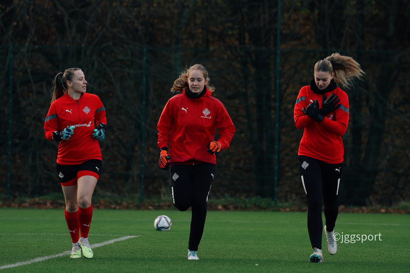Ísland mætt í jólastemmningu til Cardiff