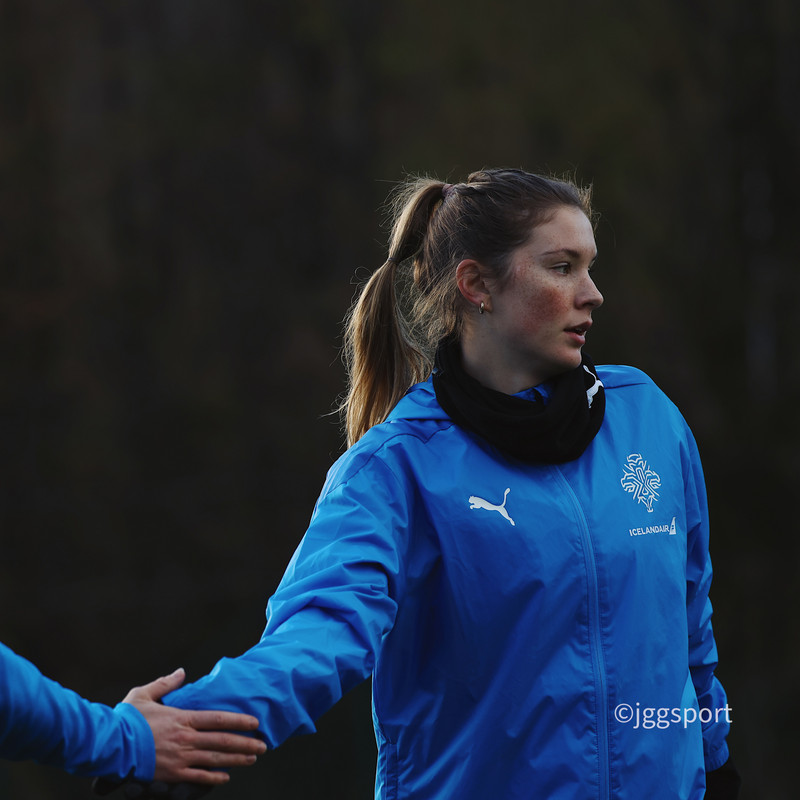 Ísland mætt í jólastemmningu til Cardiff