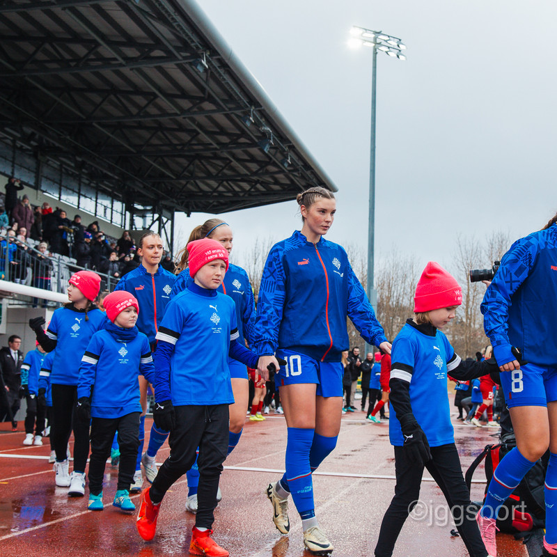 Myndaveisla frá sigri Íslands á Serbíu í gær