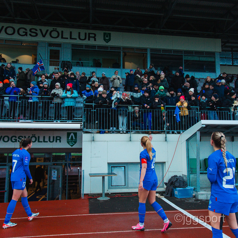 Myndaveisla frá sigri Íslands á Serbíu í gær
