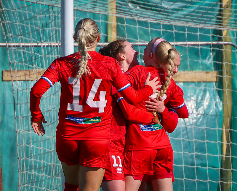 2. deild kvenna: Haukar endurheimtu toppsætið með stórsigri