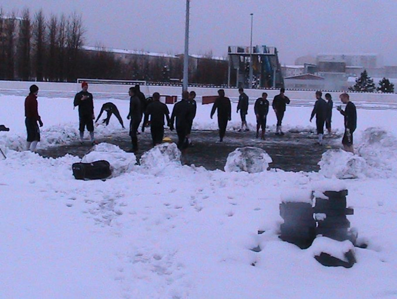 Leiknismenn í maí 2011
