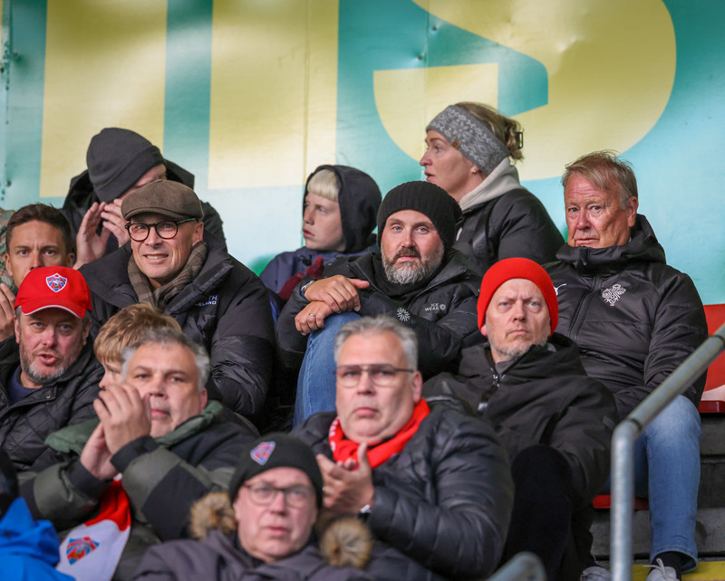 Hareide var í stúkunni og sá Gylfa skora í stórskemmtilegum leik