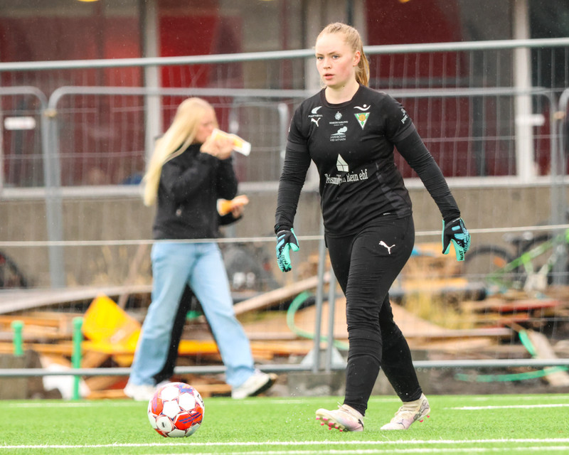 Myndaveisla: Haukar fögnuðu sigri í 2. deild eftir sigur á Völsungi