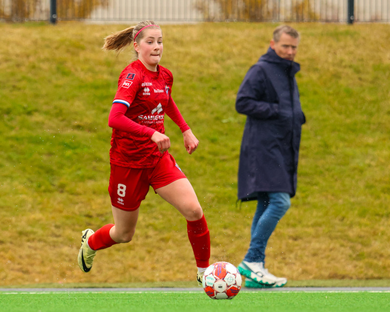 Myndaveisla: Haukar fögnuðu sigri í 2. deild eftir sigur á Völsungi