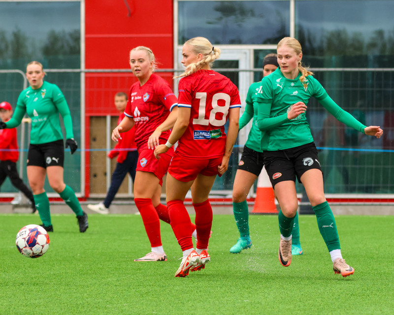 Myndaveisla: Haukar fögnuðu sigri í 2. deild eftir sigur á Völsungi