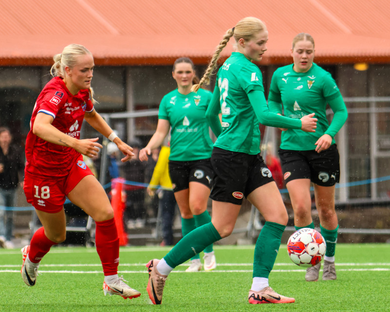 Myndaveisla: Haukar fögnuðu sigri í 2. deild eftir sigur á Völsungi