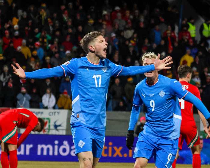 Logi Tómasson fagnar af innlifun gegn Wales