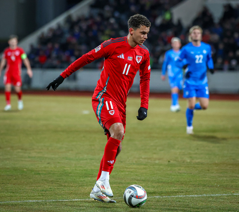 Johnson hefur skorað 7 mörk í 42 landsleikjum með Wales.