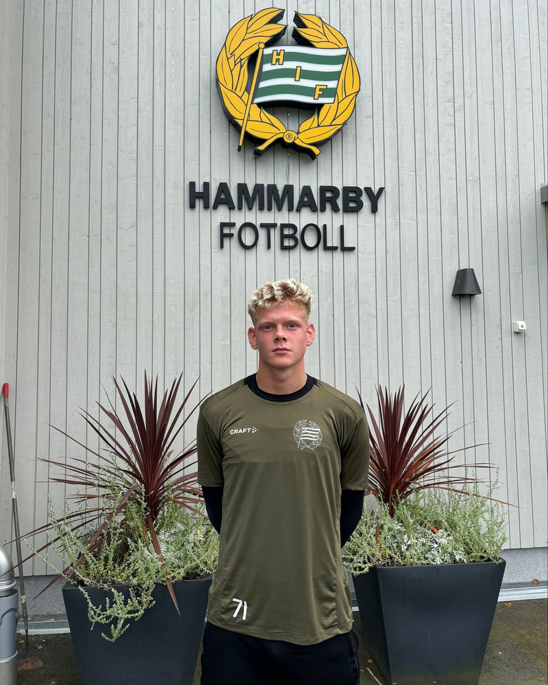 Birnir Breki á reynslu hjá Hammarby