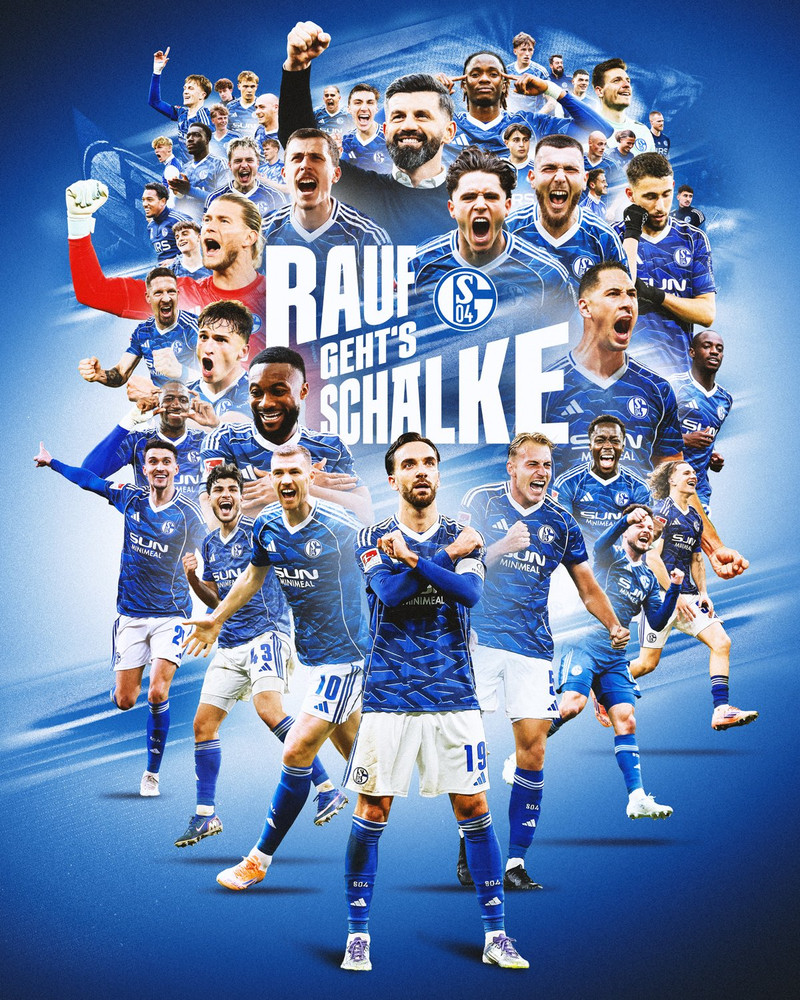 Dzeko og Schalke upp í úrvalsdeild - „Þetta er ástæðan fyrir því að ég spila fótbolta“