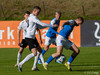 FH-Stjarnan