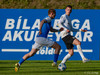 FH-Stjarnan