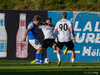 FH-Stjarnan