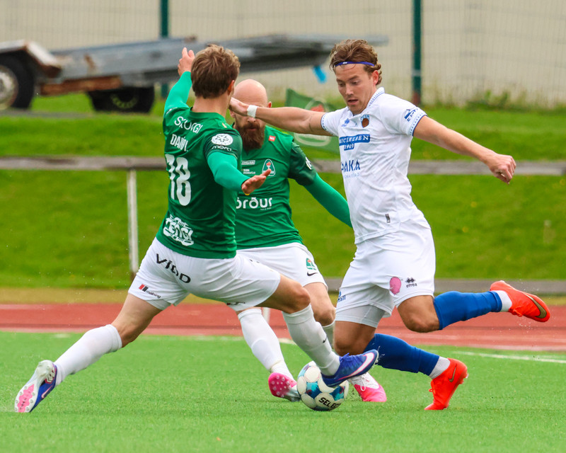 Myndaveisla: Sjö marka veisla í Kópavogi