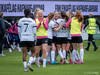 wFH - Apollon Ladies