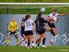 wfh - weintracht frankfurt