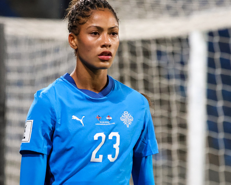 Myndaveisla: Ísland tók Króatíu í kennslustund